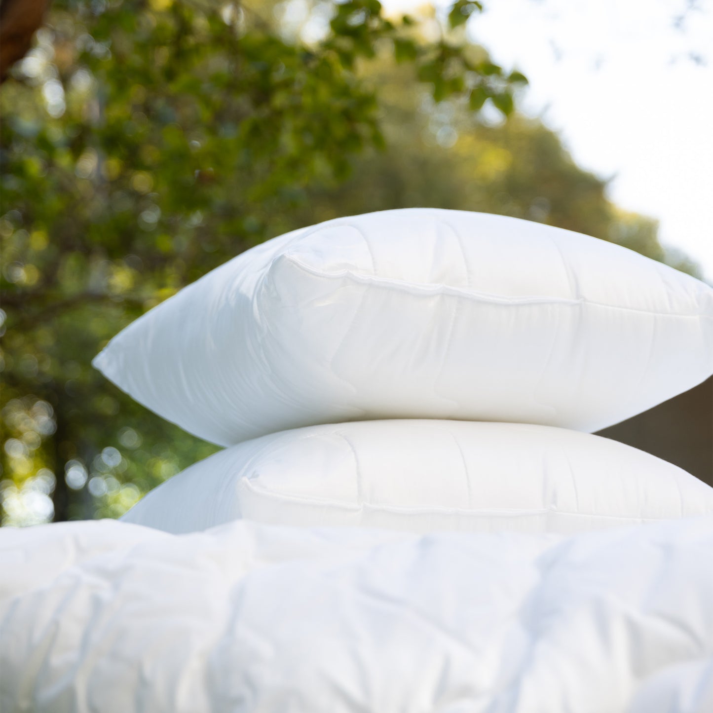 Lux 150x200 sega + Lux spilvens 50x70 spilvens (700g), saņemiet Lux spilvenu 50x70 (700g) par 1EIRO!