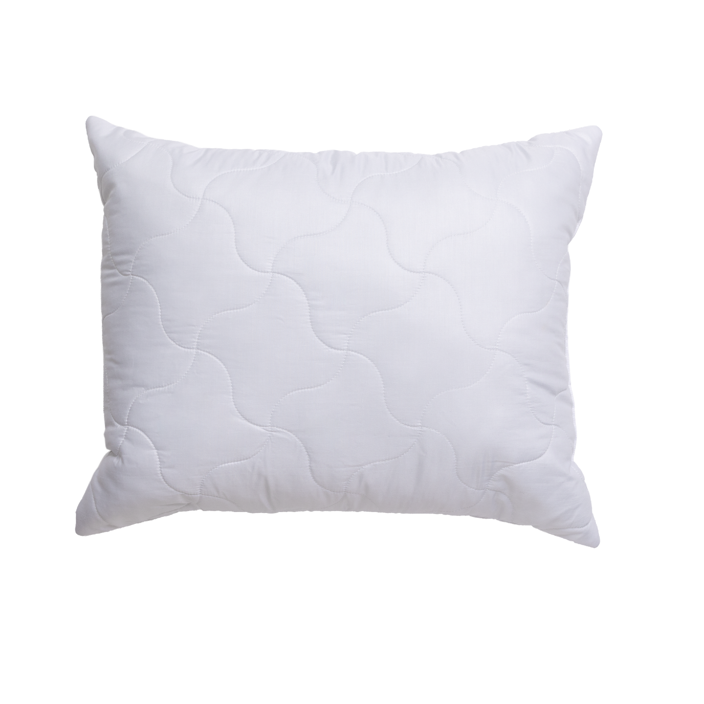 Set Basic Pillows 50x60 2pcs 500g